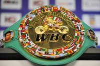 Посмотреть Сайт Клана WBC Champions 