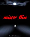 mister Bin